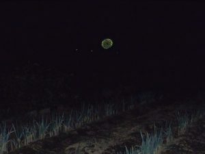 ネギ畑　花火　240928