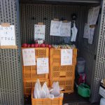 無人直売所　HuWing　販売　241112