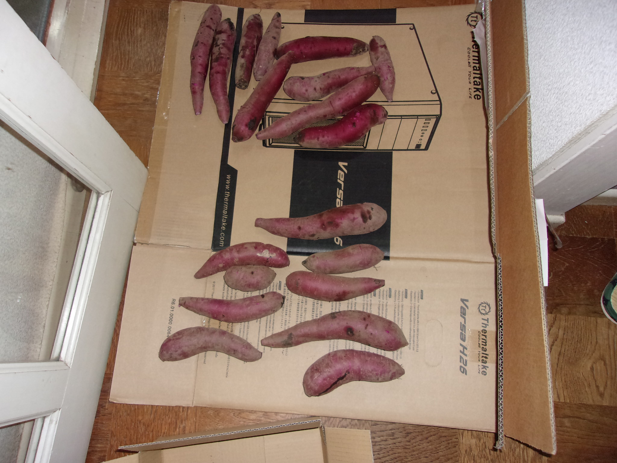 ふくむらさき　ネット販売　241128