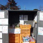 コストコ　小分け売り　241223