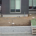 猫　眠り猫　病室　250119