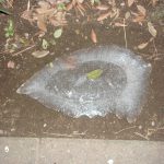 氷　寒い　250119