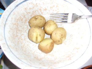 ジャガバター　250407