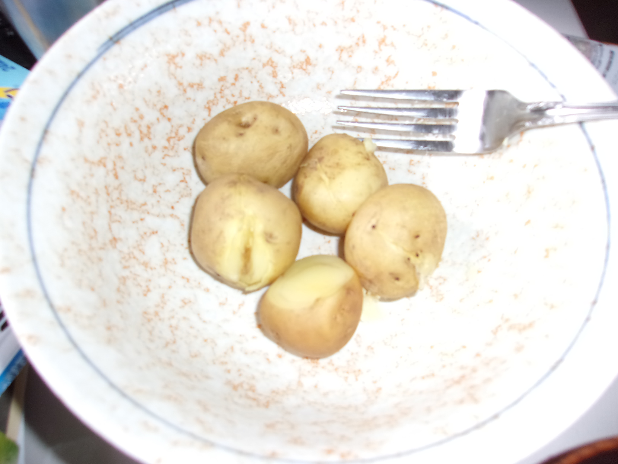 ジャガバター　250407