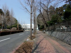 生活困窮者支援　250529