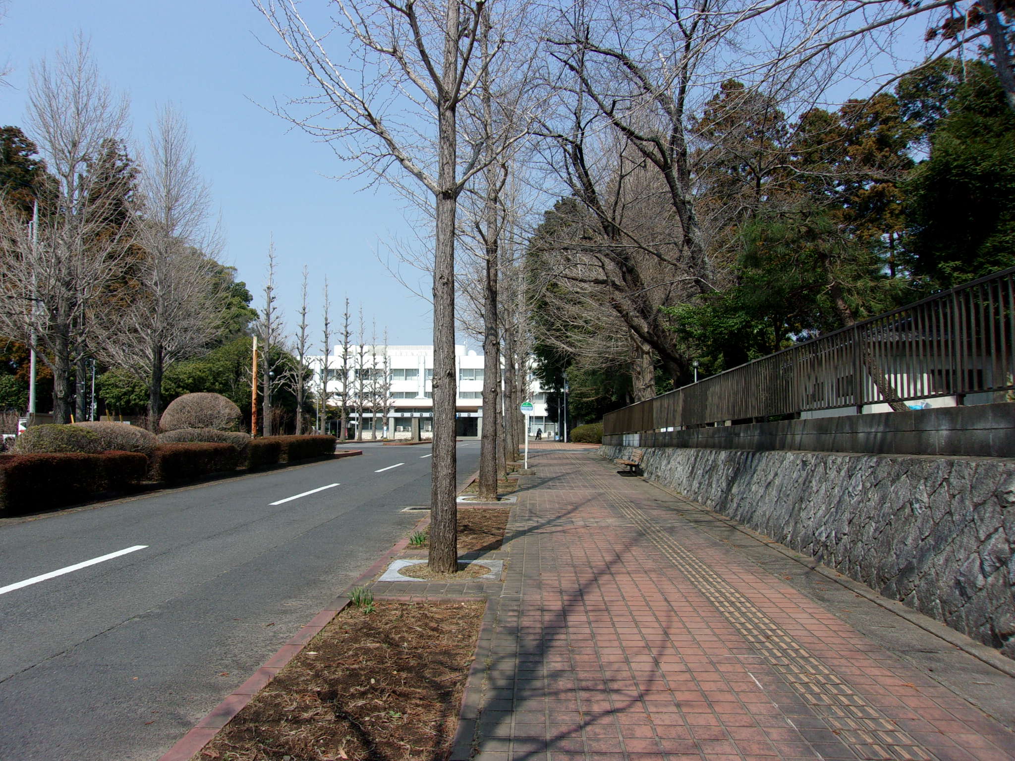 生活困窮者支援　250529