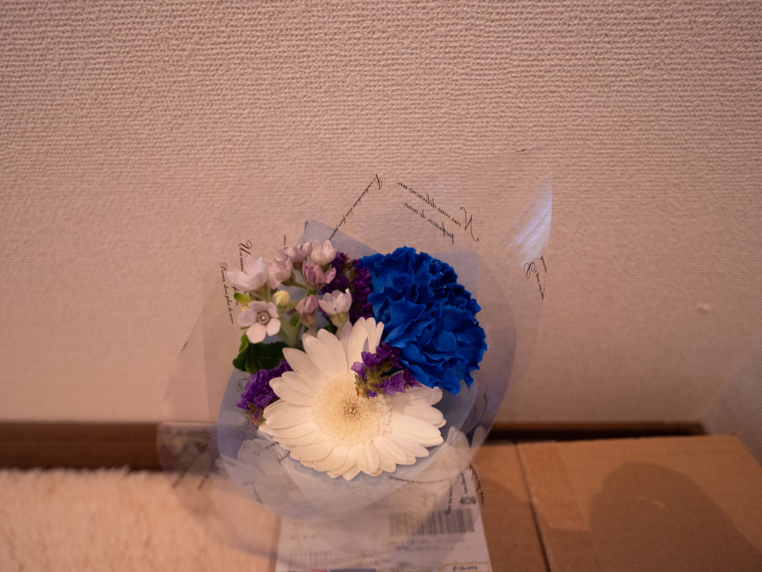 お花 250508 (1 - 1)