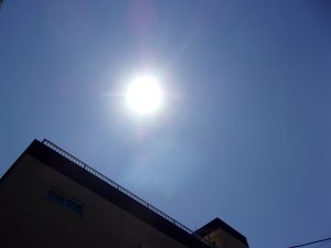 暑い日　太陽　250607