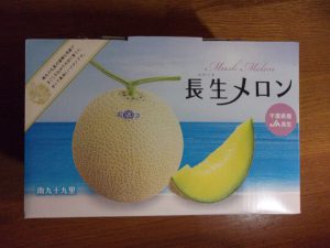 長生メロン　メロン　千葉　250728