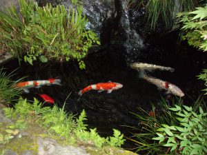 初盆　父　250815