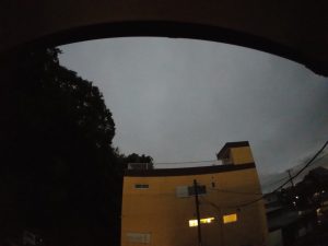 障がい者　家族　仕事　250803