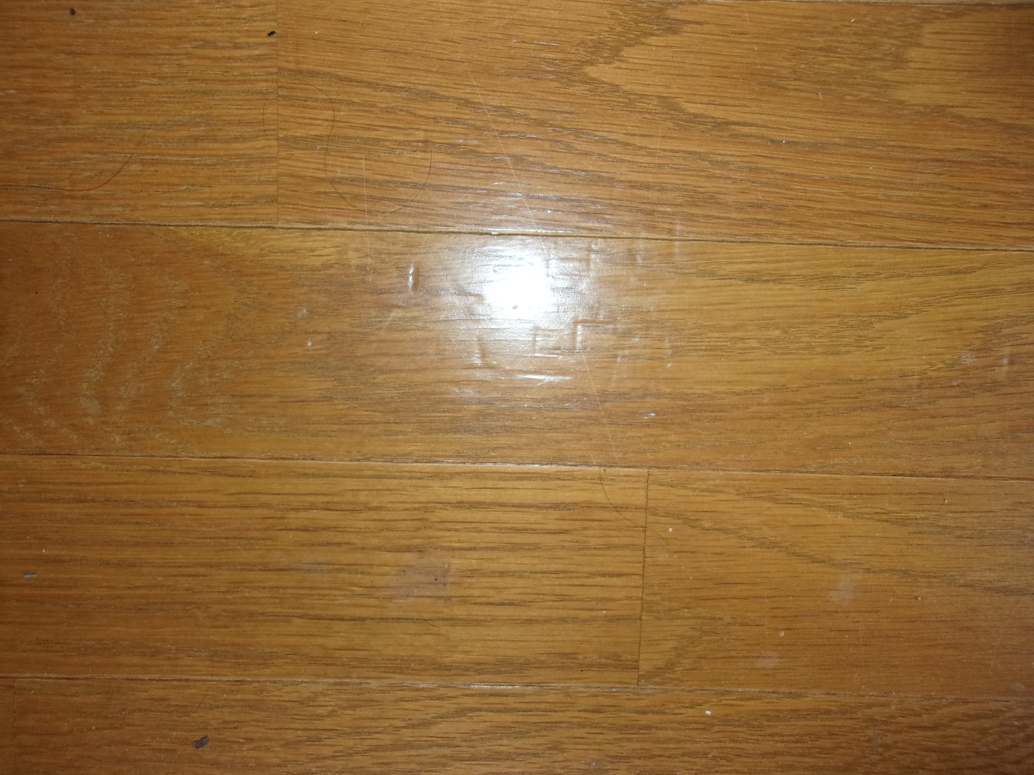 寝たきり　250927