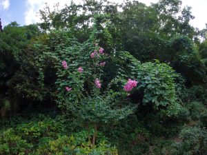 グルグル思考　250914