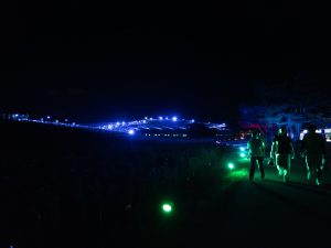 コキア　ライトアップ　250925 (1 - 1)