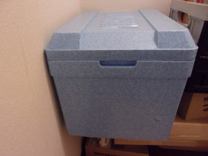 新しい仕事　卸　251001