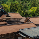 出雲大社　251117