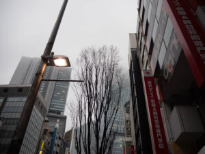 東京　251224 (1 - 1)