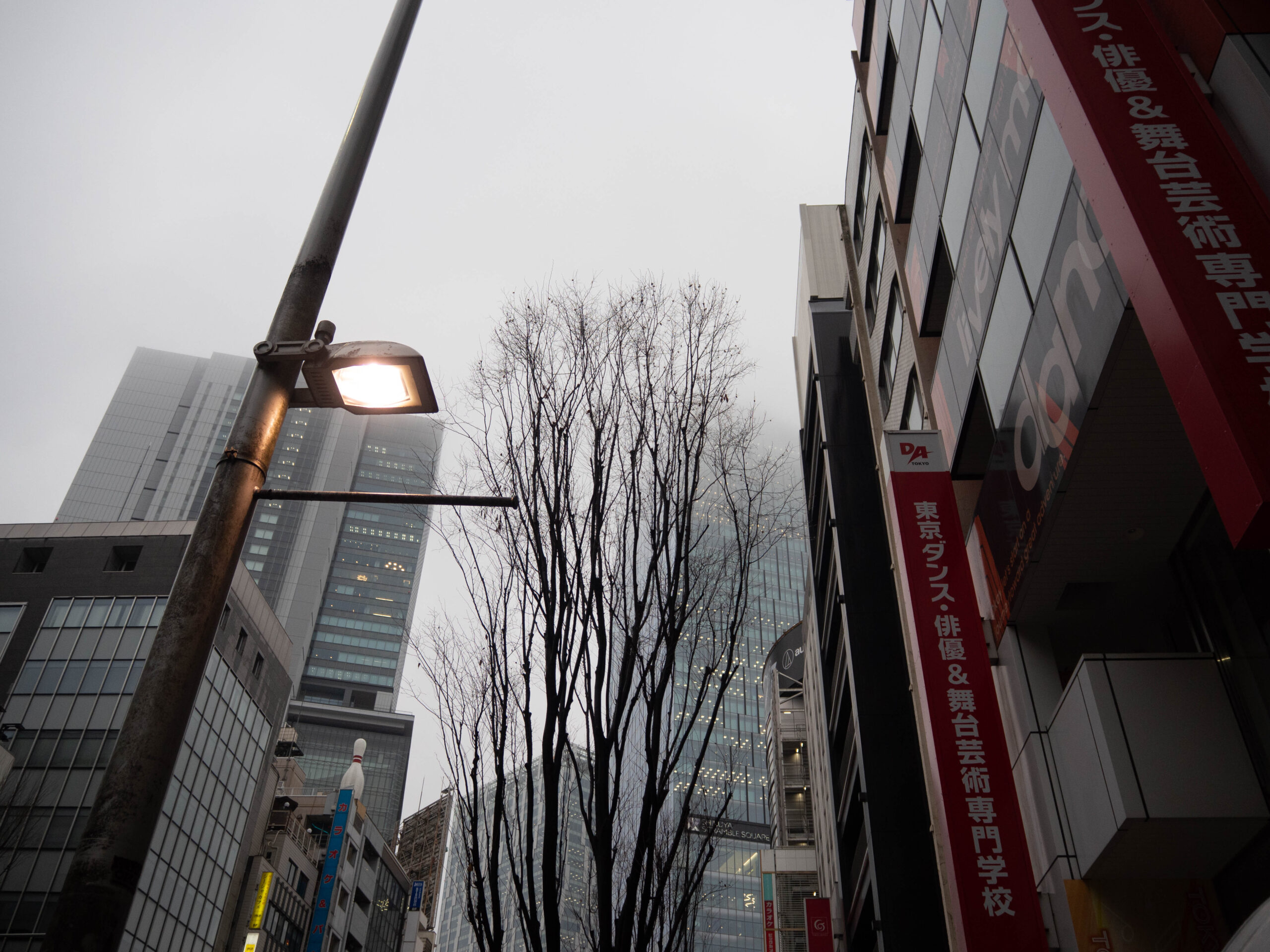 東京　251224 (1 - 1)