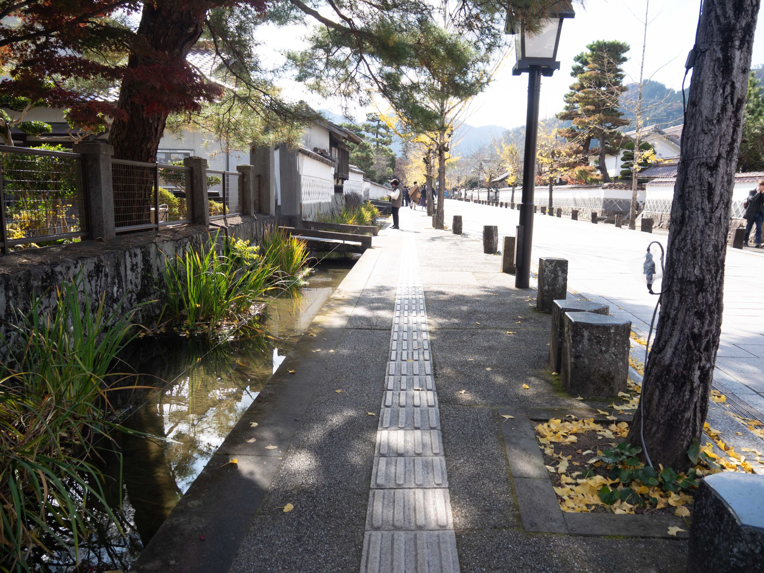 津和野　251124 (1 - 1)