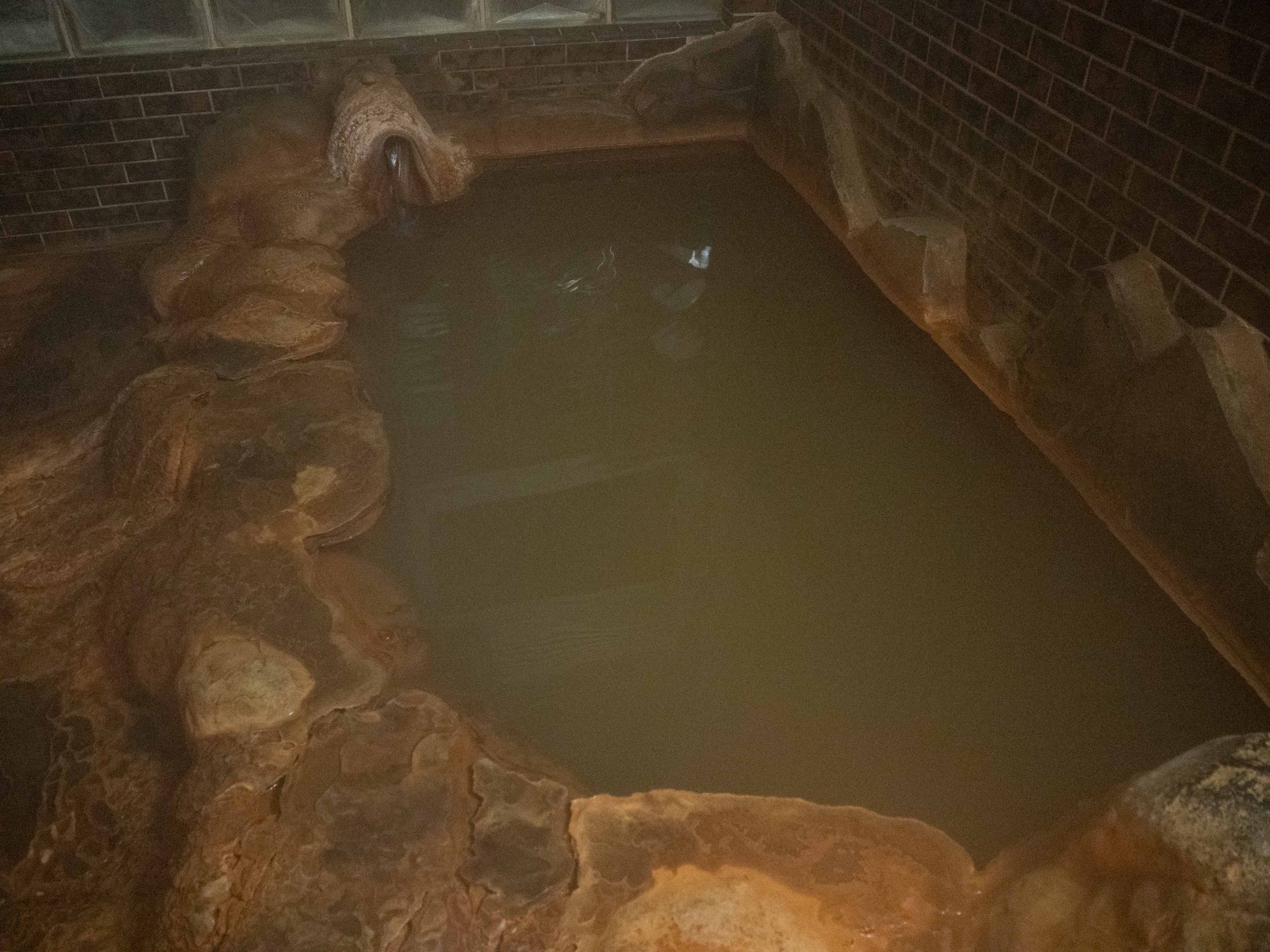 薬師湯　251124 1 (1 - 1)