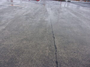 2026　しんしん　誕生日　260225