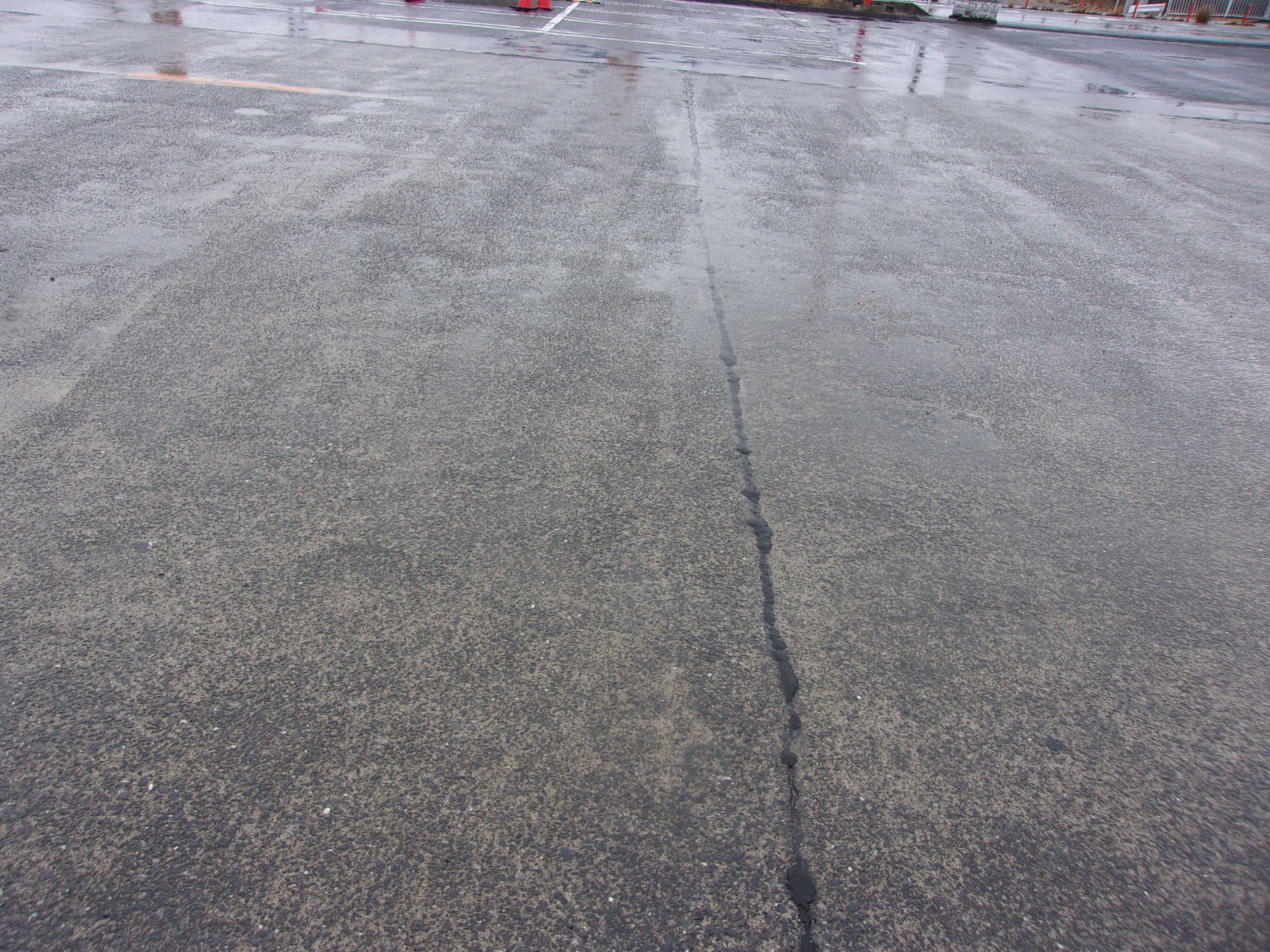 2026　しんしん　誕生日　260225