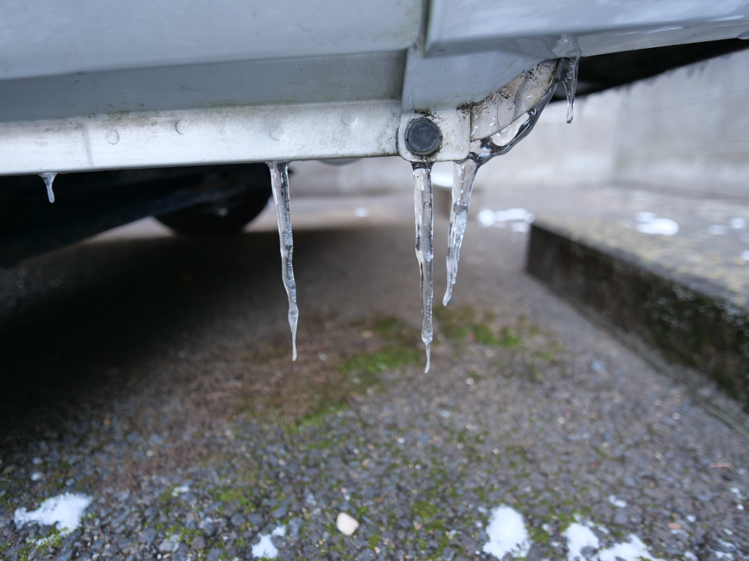 つらら　260209 (1 - 1)