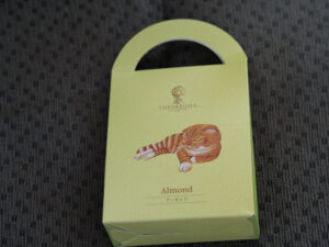 バレンタインデー　260214 (1 - 1)