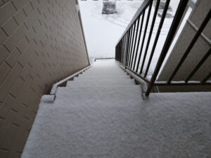 雪　260208 (1 - 1)