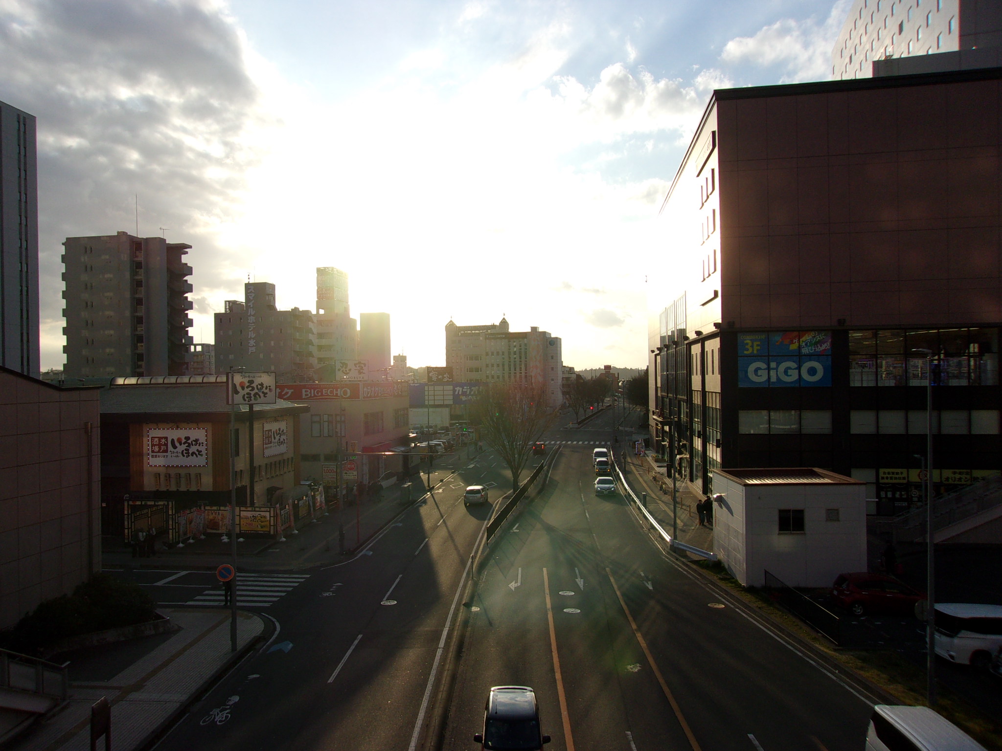 疲れ　この頃　260328