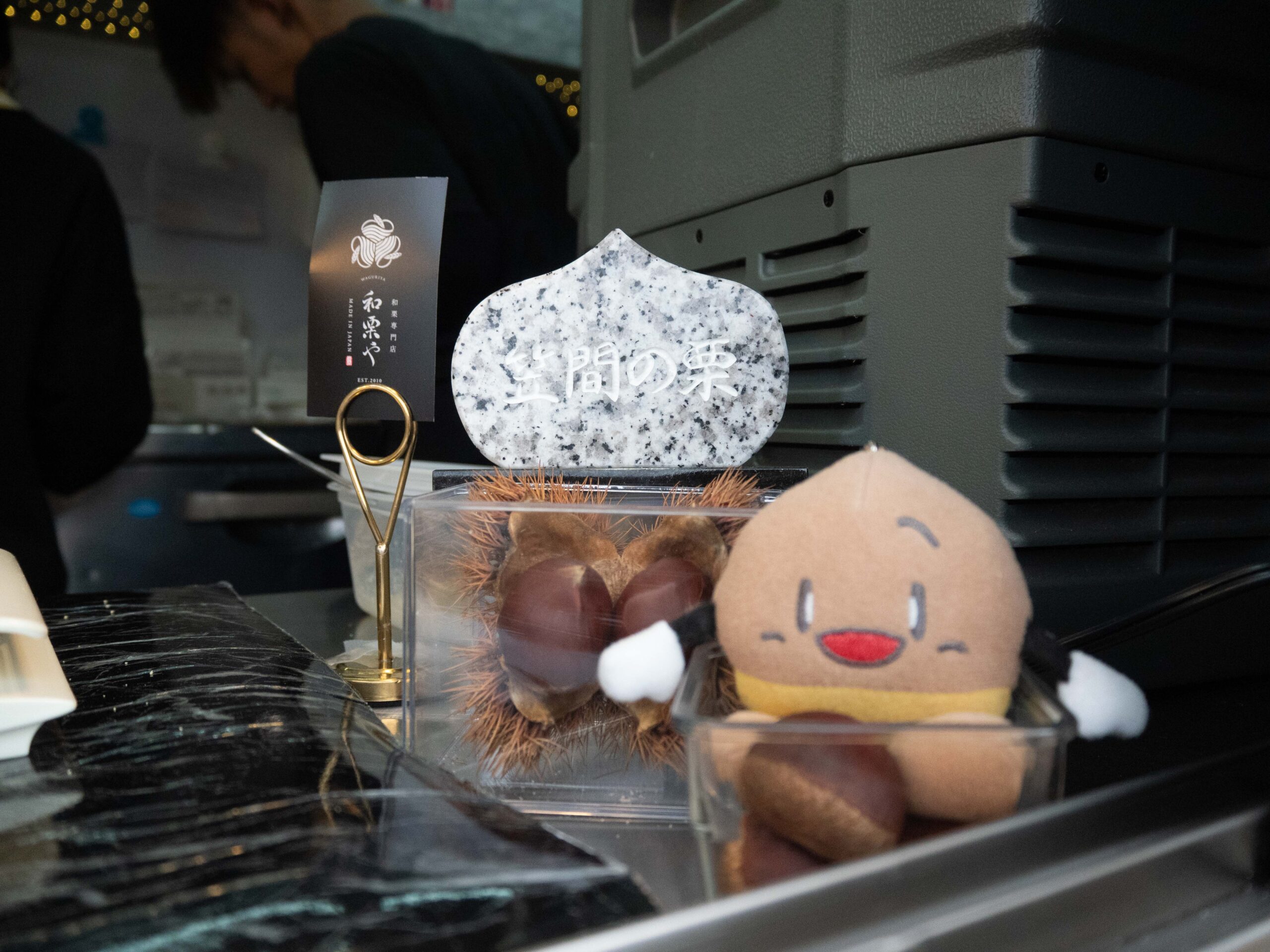 笠間の栗　260226 (1 - 1)