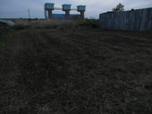 畑　返す　260426