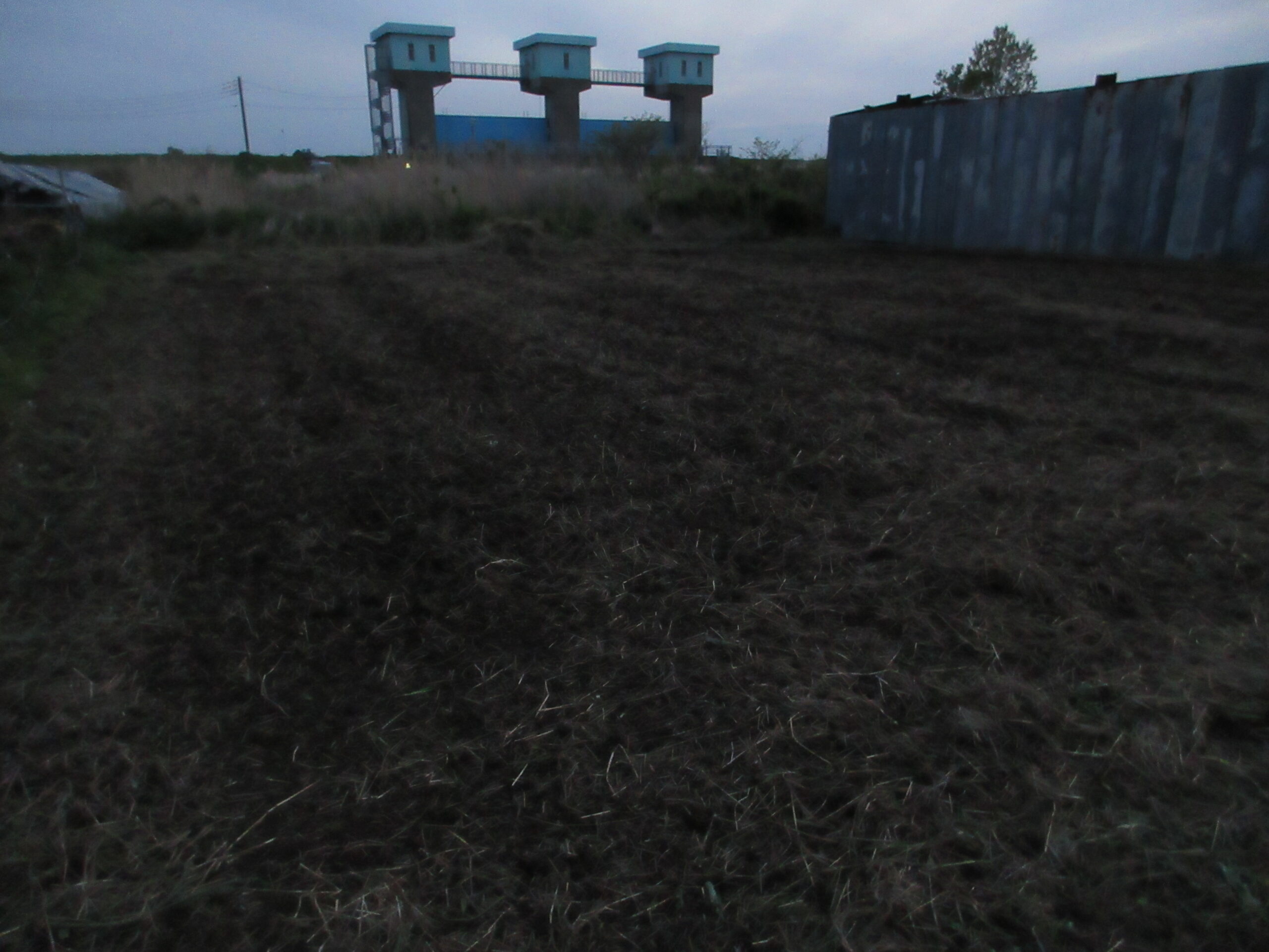 畑　返す　260426