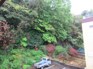 朝　うつ　260427