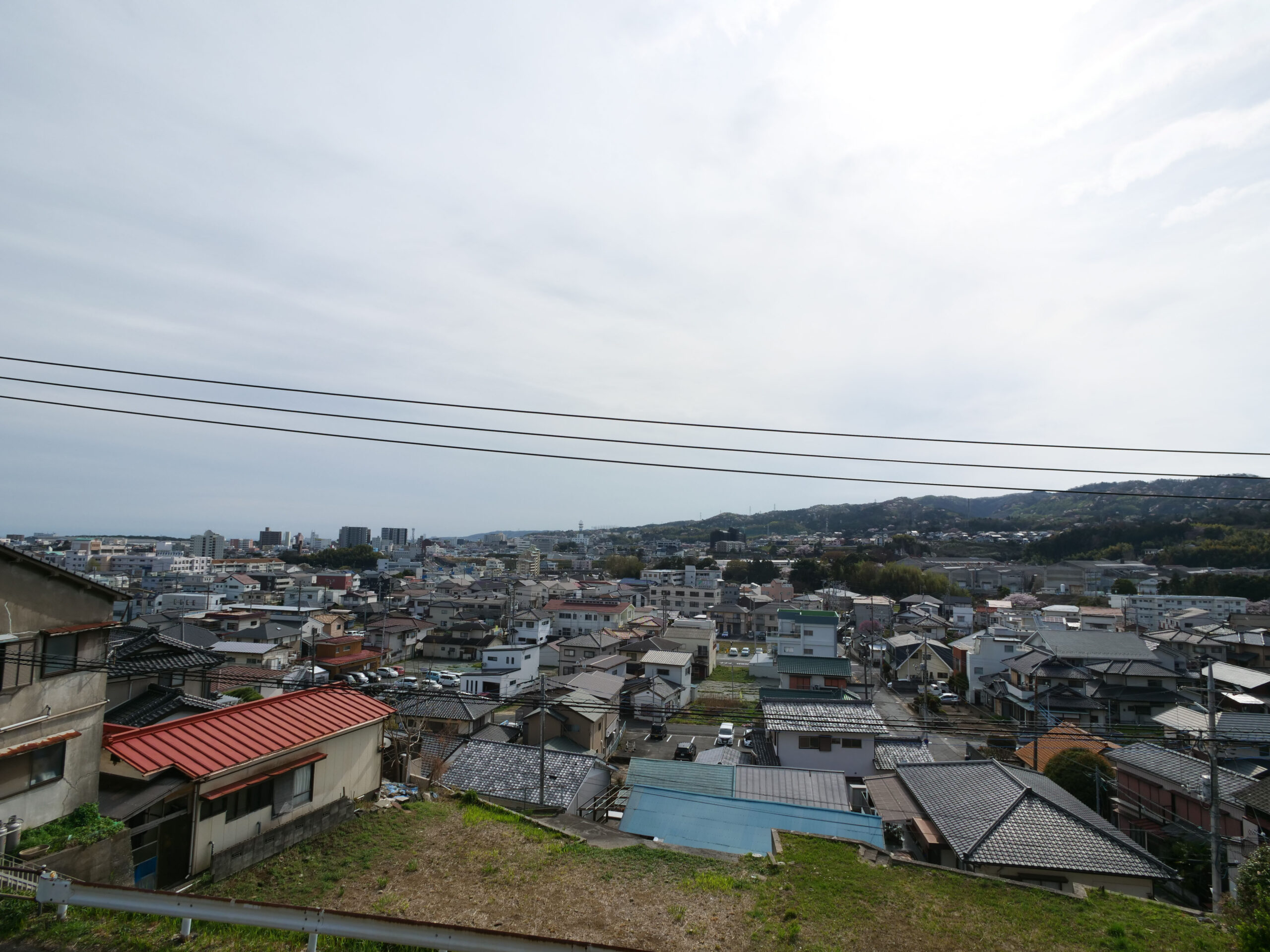 かみね公園　260406 (1 - 1)