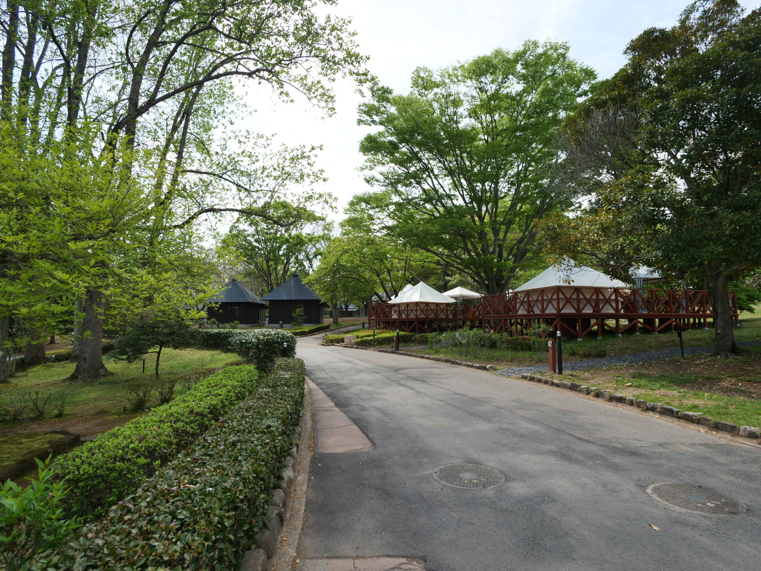 茨城県立植物園　260422 (1 - 1)