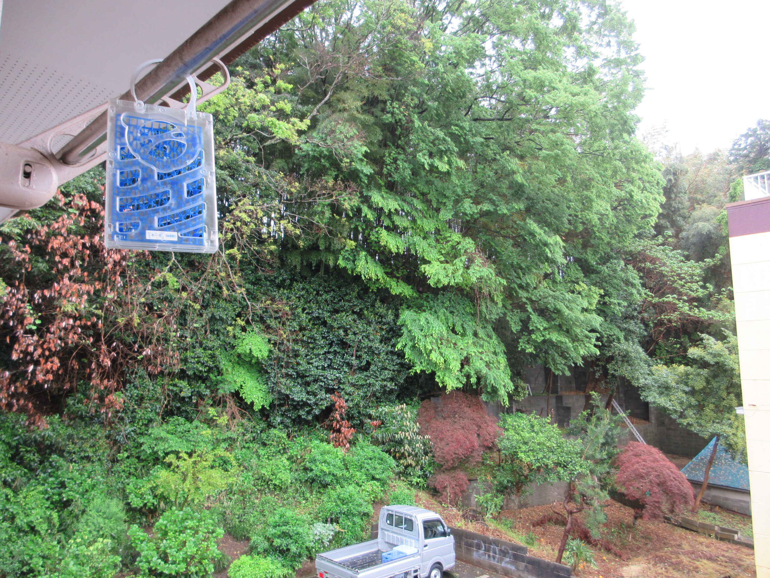 天気　荒れる　260502