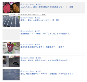 婚活　ブログ　260510