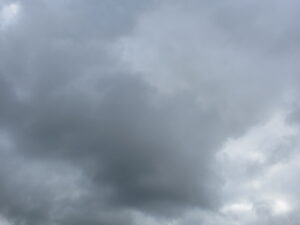 梅雨　260608
