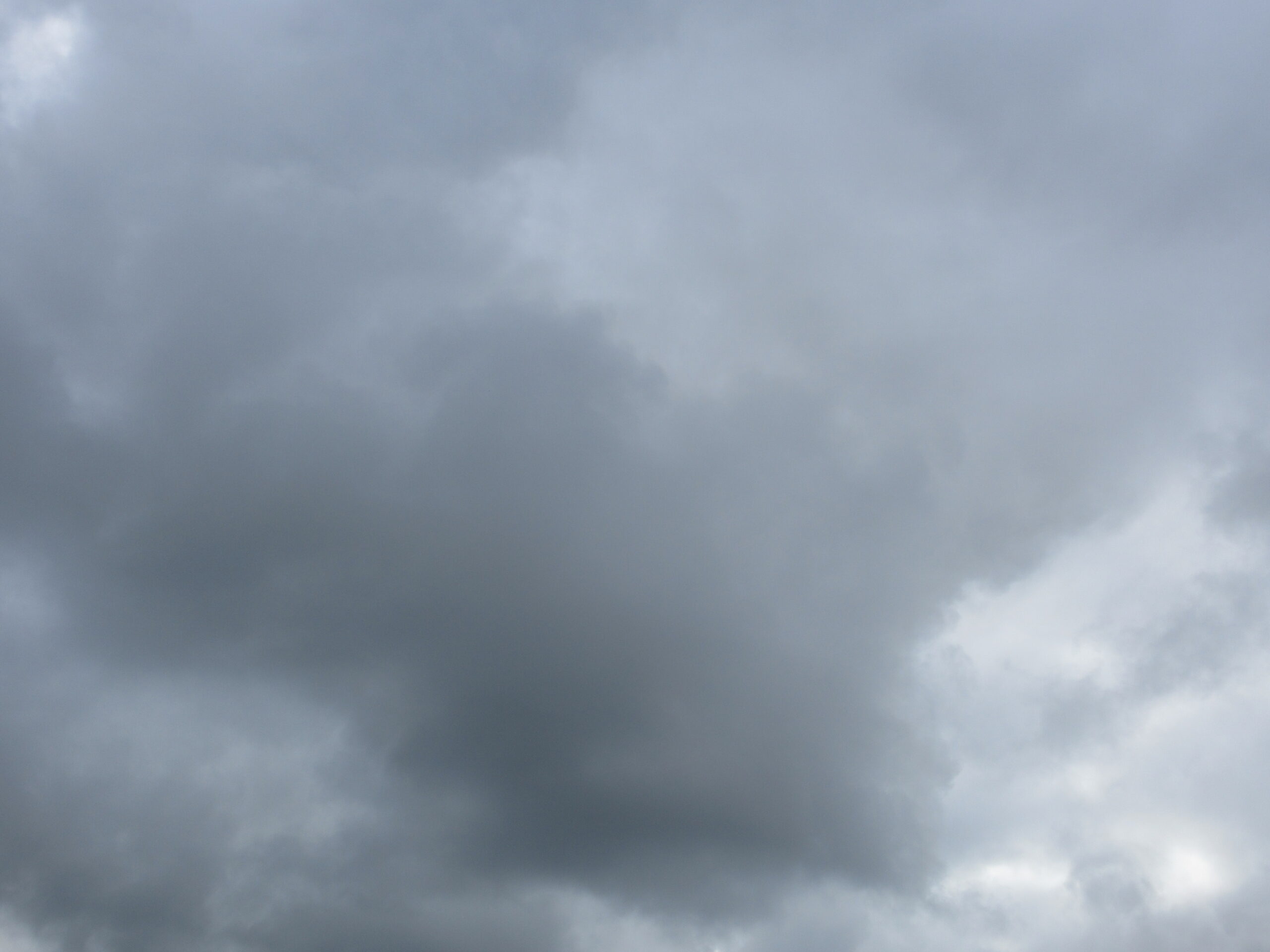 梅雨　260608
