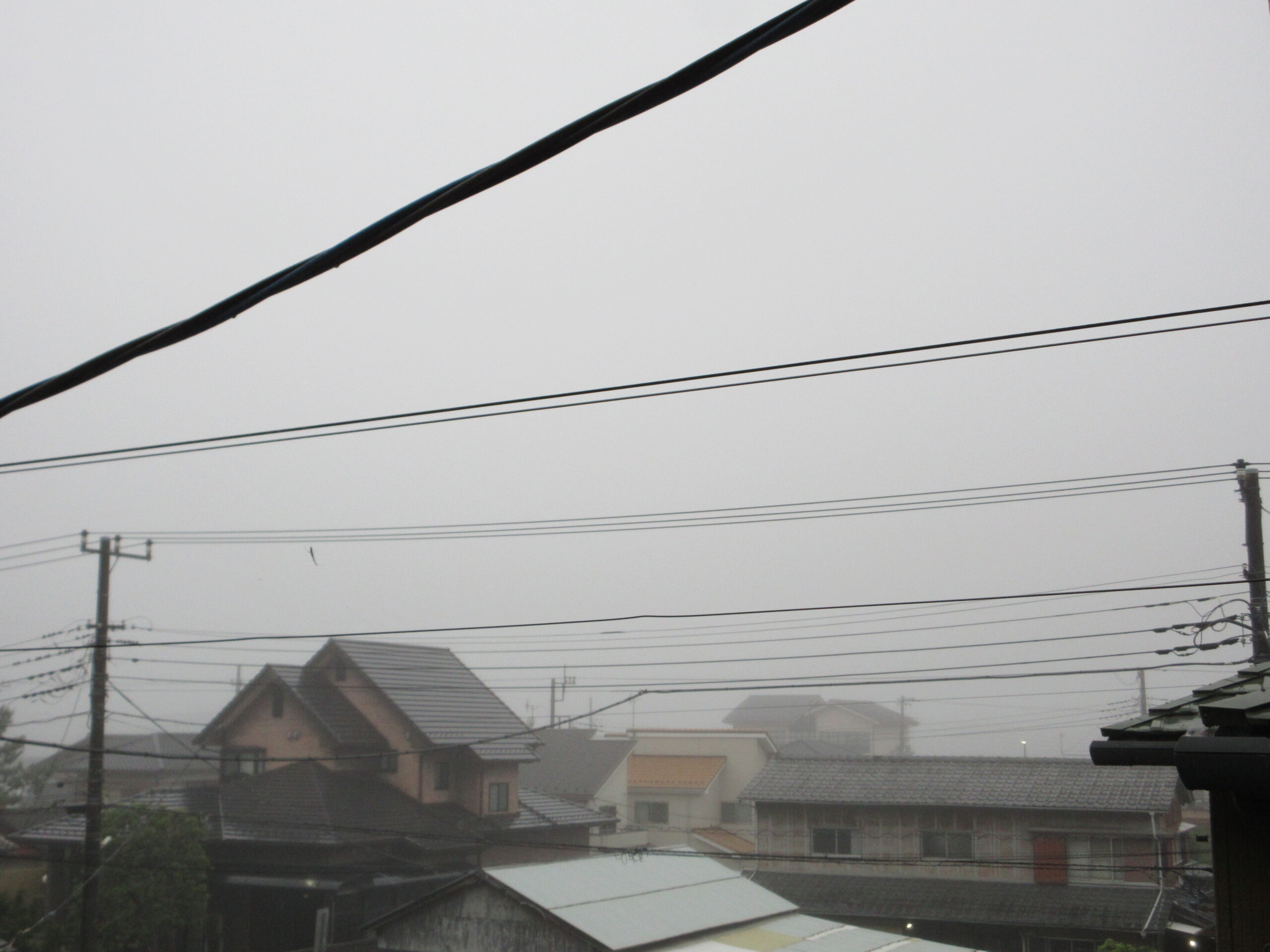 ダブル　台風　260627