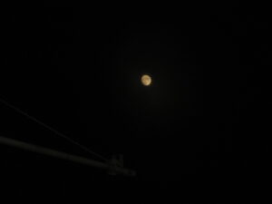 夢　うなされる　260701