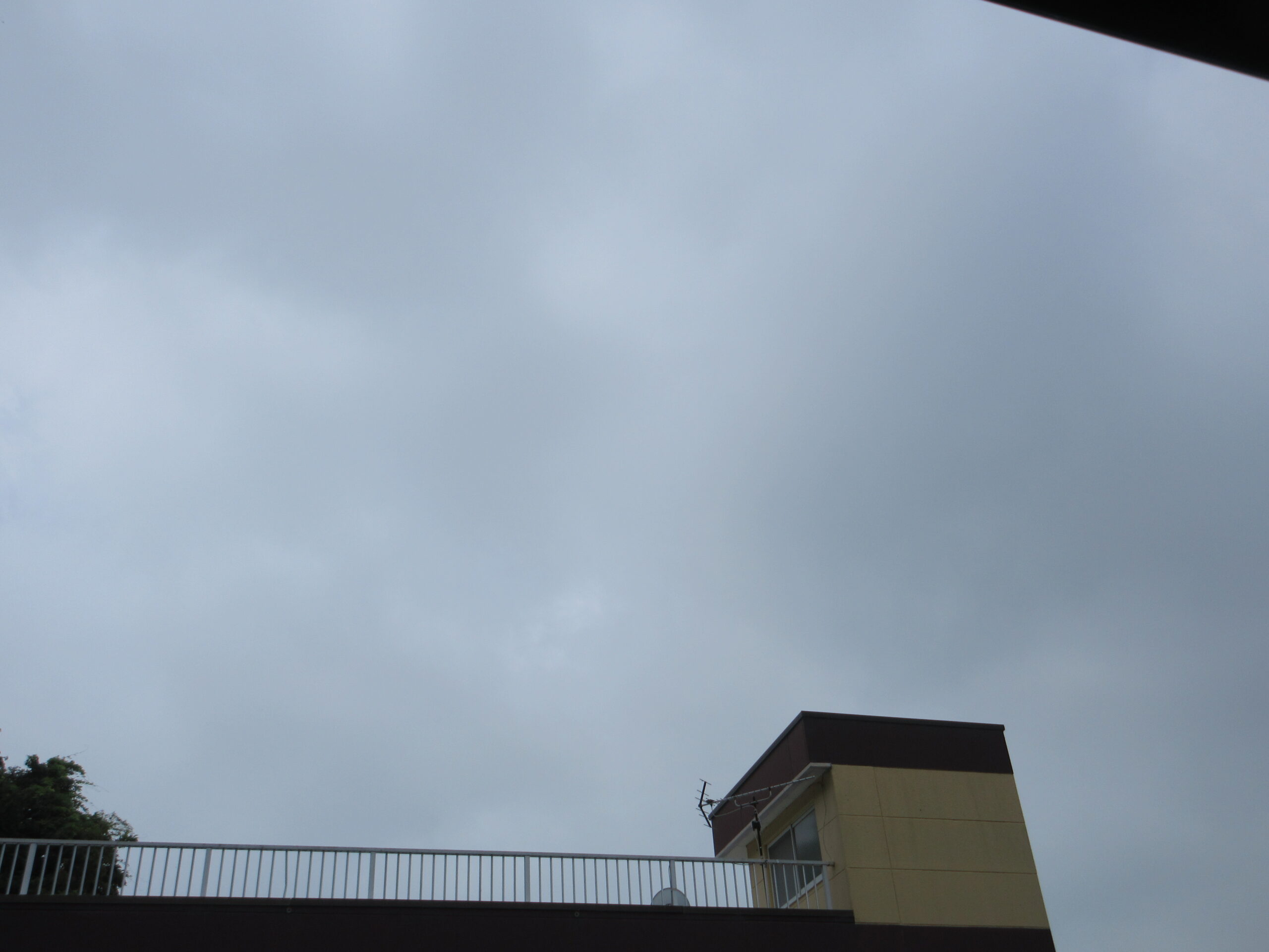 バタバタ　疲れた　260718