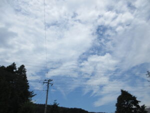 忙しい日常　260806
