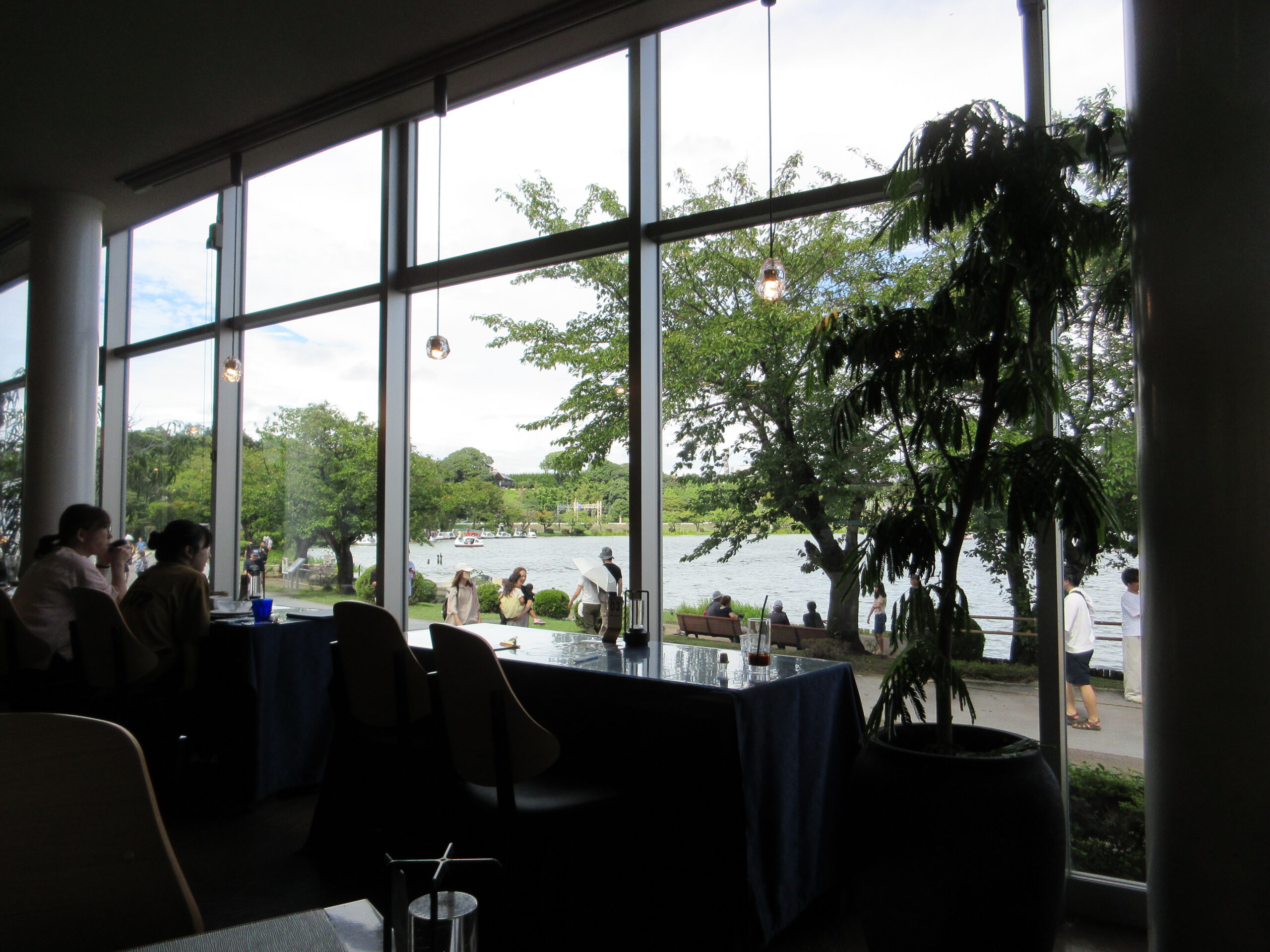 千波湖　カフェ　260821