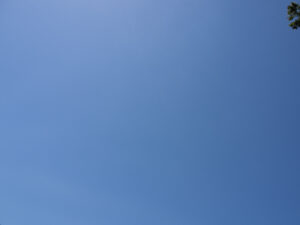 立秋　260807 (1 - 1)