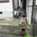 井戸水　お風呂　260925